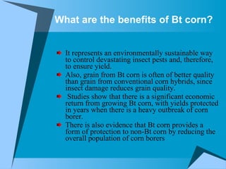 What are the benefits of Bt corn?   It represents an environmentally sustainable way to control devastating insect pests and, therefore, to ensure yield.  Also, grain from Bt corn is often of better quality than grain from conventional corn hybrids, since insect damage reduces grain quality. Studies show that there is a significant economic return from growing Bt corn, with yields protected in years when there is a heavy outbreak of corn borer.  There is also evidence that Bt corn provides a form of protection to non-Bt corn by reducing the overall population of corn borers  