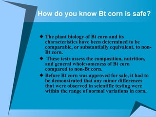 How do you know Bt corn is safe?   The plant biology of Bt corn and its characteristics have been determined to be comparable, or substantially equivalent, to non-Bt corn. These tests assess the composition, nutrition, and general wholesomeness of Bt corn compared to non-Bt corn.  Before Bt corn was approved for sale, it had to be demonstrated that any minor differences that were observed in scientific testing were within the range of normal variations in corn.   