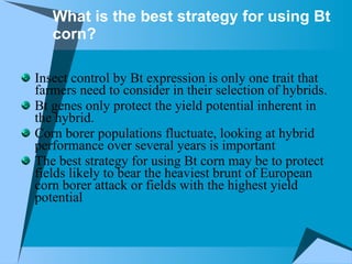 What is the best strategy for using Bt corn? Insect control by Bt expression is only one trait that farmers need to consider in their selection of hybrids. Bt genes only protect the yield potential inherent in the hybrid.  Corn borer populations fluctuate, looking at hybrid performance over several years is important  The best strategy for using Bt corn may be to protect fields likely to bear the heaviest brunt of European corn borer attack or fields with the highest yield potential  