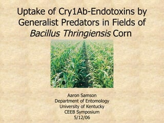 Uptake of Cry1Ab-Endotoxins by
Generalist Predators in Fields of
  Bacillus Thringiensis Corn




               Aaron Samson
         Department of Entomology
           University of Kentucky
             CEEB Symposium
                  5/12/06
 