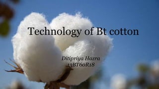 Technology of Bt cotton
Ditipriya Hazra
13BT60R18
 