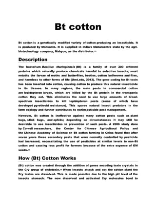 Bt cotton 
Bt cotton is a genetically modified variety of cotton producing an insecticide. It 
is produced by Monsanto. It is supplied in India's Maharashtra state by the agri-biotechnology 
company, Mahyco, as the distributor.[1] 
Description 
The bacterium Bacillus thuringiensis (Bt) is a family of over 200 different 
proteins which naturally produce chemicals harmful to selective insects, most 
notably the larvae of moths and butterflies, beetles, cotton bollworms and flies, 
and harmless to other forms of life (Umt.edu, 2013). The gene coding for Bt toxin 
has been inserted into cotton, causing cotton to produce this natural insecticide 
in its tissues. In many regions, the main pests in commercial cotton 
are lepidopteran larvae, which are killed by the Bt protein in the transgenic 
cotton they eat. This eliminates the need to use large amounts of broad-spectrum 
insecticides to kill lepidopteran pests (some of which have 
developed pyrethroid resistance). This spares natural insect predators in the 
farm ecology and further contributes to noninsecticide pest management. 
However, Bt cotton is ineffective against many cotton pests such as plant 
bugs, stink bugs, and aphids; depending on circumstances it may still be 
desirable to use insecticides in prevention of such pests. A 2006 study done 
by Cornell researchers, the Center for Chinese Agricultural Policy and 
the Chinese Academy of Science on Bt cotton farming in China found that after 
seven years these secondary pests that were normally controlled by pesticide 
had increased, necessitating the use of pesticides at similar levels to non-Bt 
cotton and causing less profit for farmers because of the extra expense of GM 
seeds.[2] 
How (Bt) Cotton Works 
(Bt) cotton was created through the addition of genes encoding toxin crystals in 
the Cry group of endotoxin.[3] When insects attack and eat the cotton plant the 
Cry toxins are dissolved. This is made possible due to the high pH level of the 
insects stomach. The now dissolved and activated Cry molecules bond to 
 