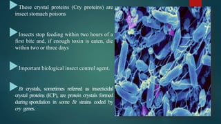 Bt cotton | PPTX