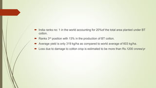  India ranks no: 1 in the world accounting for 20%of the total area planted under BT
cotton.
 Ranks 3rd position with 13% in the production of BT cotton.
 Average yield is only 319 kg/ha as compared to world average of 603 kg/ha.
 Loss due to damage to cotton crop is estimated to be more than Rs.1200 crores/yr
 