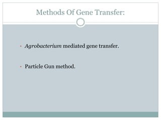 Methods Of Gene Transfer:
• Agrobacterium mediated gene transfer.
• Particle Gun method.
 
