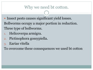Why we need bt cotton.
 Insect pests causes significant yield losses.
Bollworms occupy a major portion in reduction.
Three type of bollworms.
1. Helicoverpa armigra.
2. Pictinophora gossypiella.
3. Earias vitella
To overcome these consequences we used bt cotton
 