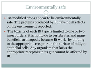Environmentally safe
 Bt-modified crops appear to be environmentally
safe. The proteins produced by Bt have no ill effects
on the environment reported.
 The toxicity of each Bt type is limited to one or two
insect orders; it is nontoxic to vertebrates and many
beneficial arthropods, because Bt works by binding
to the appropriate receptor on the surface of midgut
epithelial cells. Any organism that lacks the
appropriate receptors in its gut cannot be affected by
Bt.
 