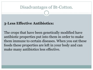 Disadvantages of Bt-Cotton.
3-Less Effective Antibiotics:
The crops that have been genetically modified have
antibiotic properties put into them in order to make
them immune to certain diseases. When you eat these
foods these properties are left in your body and can
make many antibiotics less effective.
 