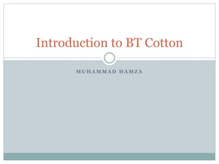 M U H A M M A D H A M Z A
Introduction to BT Cotton
 
