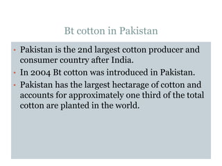 Bt cotton in Pakistan
• Pakistan is the 2nd largest cotton producer and
consumer country after India.
• In 2004 Bt cotton was introduced in Pakistan.
• Pakistan has the largest hectarage of cotton and
accounts for approximately one third of the total
cotton are planted in the world.
 