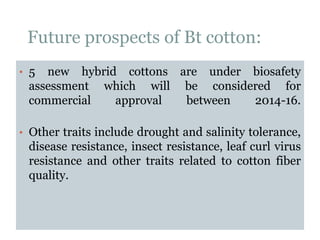 Future prospects of Bt cotton:
• 5 new hybrid cottons are under biosafety
assessment which will be considered for
commercial approval between 2014-16.
• Other traits include drought and salinity tolerance,
disease resistance, insect resistance, leaf curl virus
resistance and other traits related to cotton fiber
quality.
 