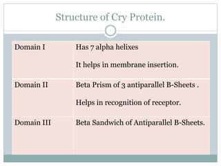 Structure of Cry Protein.
Domain I Has 7 alpha helixes
It helps in membrane insertion.
Domain II Beta Prism of 3 antiparallel B-Sheets .
Helps in recognition of receptor.
Domain III Beta Sandwich of Antiparallel B-Sheets.
 