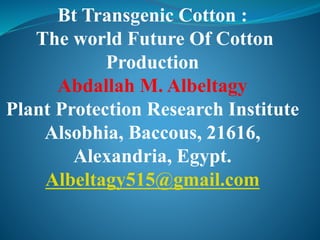 Bt Transgenic Cotton :
The world Future Of Cotton
Production
Abdallah M. Albeltagy
Plant Protection Research Institute
Alsobhia, Baccous, 21616,
Alexandria, Egypt.
Albeltagy515@gmail.com
 