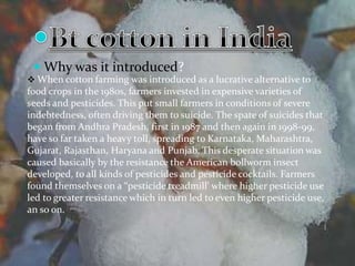  When cotton farming was introduced as a lucrative alternative to
food crops in the 1980s, farmers invested in expensive varieties of
seeds and pesticides. This put small farmers in conditions of severe
indebtedness, often driving them to suicide. The spate of suicides that
began from Andhra Pradesh, first in 1987 and then again in 1998-99,
have so far taken a heavy toll, spreading to Karnataka, Maharashtra,
Gujarat, Rajasthan, Haryana and Punjab. This desperate situation was
caused basically by the resistance the American bollworm insect
developed, to all kinds of pesticides and pesticide cocktails. Farmers
found themselves on a “pesticide treadmill' where higher pesticide use
led to greater resistance which in turn led to even higher pesticide use,
an so on.
 Why was it introduced?
 