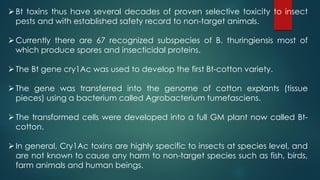 Bt toxins thus have several decades of proven selective toxicity to insect
pests and with established safety record to non-target animals.
Currently there are 67 recognized subspecies of B. thuringiensis most of
which produce spores and insecticidal proteins.
The Bt gene cry1Ac was used to develop the first Bt-cotton variety.
The gene was transferred into the genome of cotton explants (tissue
pieces) using a bacterium called Agrobacterium tumefasciens.
The transformed cells were developed into a full GM plant now called Bt-
cotton.
In general, Cry1Ac toxins are highly specific to insects at species level, and
are not known to cause any harm to non-target species such as fish, birds,
farm animals and human beings.
 
