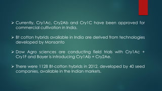  Currently, Cry1Ac, Cry2Ab and Cry1C have been approved for
commercial cultivation in India.
 Bt cotton hybrids available in India are derived from technologies
developed by Monsanto
 Dow Agro sciences are conducting field trials with Cry1Ac +
Cry1F and Bayer is introducing Cry1Ab + Cry2Ae.
 There were 1128 Bt-cotton hybrids in 2012, developed by 40 seed
companies, available in the Indian markets.
 