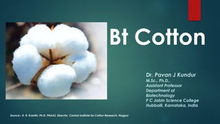 Source:- K. R. Kranthi, Ph.D, FNAAS, Director, Central Institute for Cotton Research, Nagpur
Dr. Pavan J Kundur
M.Sc., Ph.D.,
Assistant Professor
Department of
Biotechnology
P C Jabin Science College
Hubballi, Karnataka, India
Bt Cotton
 
