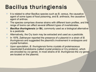 Bacillus thuringiensis It is related to other Bacillus species such as B. cereus, the causative agent of some types of food poisoning, and B. anthracis, the causative agent of anthrax.  The species comprises diverse strains with different toxin profiles, and the range of toxins can affect several different types of invertebrates.   Bacillus thuringiensis  (or  Bt ), commonly used as a biological alternative to a pesticide Alternatively, the Cry toxin may be extracted and used as a pesticide.  In 1976, Zakharyan reported the presence of a plasmid in a strain of  B. thuringiensis  and suggested the plasmid's involvement in endospore and crystal formation. Upon sporulation,  B. thuringiensis  forms crystals of proteinaceous insecticidal δ-endotoxins (called crystal proteins or Cry proteins), which are encoded by  cry  genes. In most strains of  B. thuringiensis  the  cry  genes are located on the plasmid. 