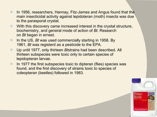 In 1956, researchers, Hannay, Fitz-James and Angus found that the main insecticidal activity against lepidoteran (moth) insects was due to the parasporal crystal.  With this discovery came increased interest in the crystal structure, biochemistry, and general mode of action of  Bt . Research on  Bt  began in ernest. In the US,  Bt  was used commercially starting in 1958. By 1961,  Bt  was registerd as a pesticide to the EPA. Up until 1977, only thirteen  Bt strains had been described. All thirteen subspecies were toxic only to certain species of lepidopteran larvae.  In 1977 the first subspecies toxic to dipteran (flies) species was found, and the first discovery of strains toxic to species of coleopteran (beetles) followed in 1983. 