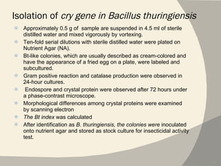 Isolation of  cry gene in Bacillus thuringiensis Approximately 0.5 g of  sample are suspended in 4.5 ml of sterile distilled water and mixed vigorously by vortexing. Ten-fold serial dilutions with sterile distilled water were plated on Nutrient Agar (NA).  Bt-like colonies, which are usually described as cream-colored and have the appearance of a fried egg on a plate, were labeled and subcultured.  Gram positive reaction and catalase production were observed in 24-hour cultures. Endospore and crystal protein were observed after 72 hours under a phase-contrast microscope. Morphological differences among crystal proteins were examined by scanning electron  The Bt index  was calculated After identification as  B. thuringiensis, the colonies were  inoculated onto nutrient agar and stored as stock culture for insecticidal activity test. 