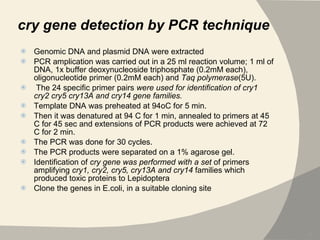 cry gene detection by PCR technique Genomic DNA and plasmid DNA were extracted PCR amplication was carried out in a 25 ml reaction volume; 1 ml of DNA, 1x buffer deoxynucleoside triphosphate (0.2mM each), oligonucleotide primer (0.2mM each) and  Taq polymerase (5U). The 24 specific primer pairs  were used for identification of cry1 cry2 cry5 cry13A and cry14 gene families. Template DNA was preheated at 94oC for 5 min.  Then it was denatured at 94 C for 1 min, annealed to primers at 45 C for 45 sec and extensions of PCR products were achieved at 72 C for 2 min.  The PCR was done for 30 cycles. The PCR products were separated on a 1% agarose gel. Identification of  cry gene was performed with a set  of primers amplifying  cry1, cry2, cry5, cry13A and cry14  families which produced toxic proteins to Lepidoptera Clone the genes in E.coli, in a suitable cloning site 