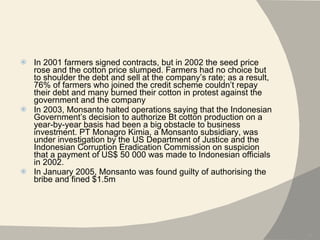 In 2001 farmers signed contracts, but in 2002 the seed price rose and the cotton price slumped. Farmers had no choice but to shoulder the debt and sell at the company’s rate; as a result, 76% of farmers who joined the credit scheme couldn’t repay their debt and many burned their cotton in protest against the government and the company  In 2003, Monsanto halted operations saying that the Indonesian Government’s decision to authorize Bt cotton production on a year-by-year basis had been a big obstacle to business investment. PT Monagro Kimia, a Monsanto subsidiary, was under investigation by the US Department of Justice and the Indonesian Corruption Eradication Commission on suspicion that a payment of US$ 50 000 was made to Indonesian officials in 2002. In January 2005, Monsanto was found guilty of authorising the bribe and fined $1.5m 