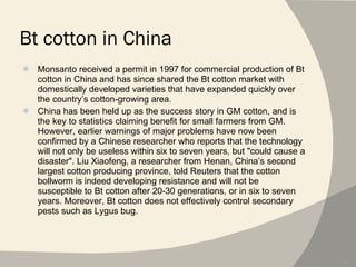 Bt cotton in China Monsanto received a permit in 1997 for commercial production of Bt cotton in China and has since shared the Bt cotton market with domestically developed varieties that have expanded quickly over the country’s cotton-growing area. China has been held up as the success story in GM cotton, and is the key to statistics claiming benefit for small farmers from GM. However, earlier warnings of major problems have now been confirmed by a Chinese researcher who reports that the technology will not only be useless within six to seven years, but "could cause a disaster". Liu Xiaofeng, a researcher from Henan, China’s second largest cotton producing province, told Reuters that the cotton bollworm is indeed developing resistance and will not be susceptible to Bt cotton after 20-30 generations, or in six to seven years. Moreover, Bt cotton does not effectively control secondary pests such as Lygus bug. 