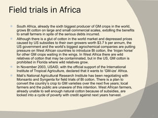 Field trials in Africa South Africa, already the sixth biggest producer of GM crops in the world, grows Bt cotton on large and small commercial scales, extolling the benefits to small farmers in spite of the serious debts incurred. Although there is a glut of cotton in the world market and depressed prices caused by US subsidies to their own growers worth $3.7 b per annum, the US government and the world’s biggest agrochemical companies are putting pressure on West African countries to introduce Bt cotton, the ‘trojan horse’ for other GM crops waiting in the wings. In West Africa there are wild relatives of cotton that may be contaminated, but in the US, GM cotton is prohibited in Florida where wild relatives grow. In November 2003, USAID, with the official support of the International Institute of Tropical Agriculture, declared that it wants to ‘GM-ize’ Africa. Mali’s National Agricultural Research Institute has been negotiating with Monsanto and Syngenta for field trials of Bt cotton. There is a plan to convert the country’s crop to GM varieties over the next five years; local farmers and the public are unaware of this intention. West African farmers, already unable to sell enough natural cotton because of subsidies, are locked into a cycle of poverty with credit against next years harvest. 