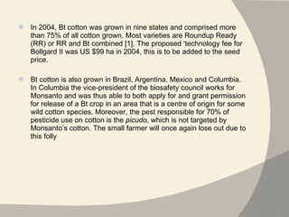In 2004, Bt cotton was grown in nine states and comprised more than 75% of all cotton grown. Most varieties are Roundup Ready (RR) or RR and Bt combined [1]. The proposed ‘technology fee for Bollgard II was US $99 ha in 2004, this is to be added to the seed price. Bt cotton is also grown in Brazil, Argentina, Mexico and Columbia. In Columbia the vice-president of the biosafety council works for Monsanto and was thus able to both apply for and grant permission for release of a Bt crop in an area that is a centre of origin for some wild cotton species. Moreover, the pest responsible for 70% of pesticide use on cotton is the  picudo , which is not targeted by Monsanto’s cotton. The small farmer will once again lose out due to this folly 