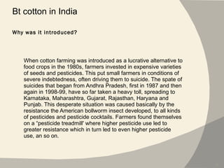 Why was it introduced? Bt cotton in India When cotton farming was introduced as a lucrative alternative to food crops in the 1980s, farmers invested in expensive varieties of seeds and pesticides. This put small farmers in conditions of severe indebtedness, often driving them to suicide. The spate of suicides that began from Andhra Pradesh, first in 1987 and then again in 1998-99, have so far taken a heavy toll, spreading to Karnataka, Maharashtra, Gujarat, Rajasthan, Haryana and Punjab. This desperate situation was caused basically by the resistance the American bollworm insect developed, to all kinds of pesticides and pesticide cocktails. Farmers found themselves on a “pesticide treadmill' where higher pesticide use led to greater resistance which in turn led to even higher pesticide use, an so on. 