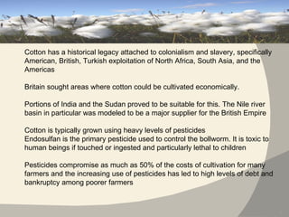 Cotton has a historical legacy attached to colonialism and slavery, specifically American, British, Turkish exploitation of North Africa, South Asia, and the Americas Britain sought areas where cotton could be cultivated economically. Portions of India and the Sudan proved to be suitable for this. The Nile river basin in particular was modeled to be a major supplier for the British Empire Cotton is typically grown using heavy levels of pesticides Endosulfan is the primary pesticide used to control the bollworm. It is toxic to human beings if touched or ingested and particularly lethal to children Pesticides compromise as much as 50% of the costs of cultivation for many farmers and the increasing use of pesticides has led to high levels of debt and bankruptcy among poorer farmers 