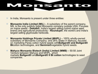 In India, Monsanto is present under three entities: Monsanto India Limited (MIL)  – A subsidiary of the parent company, MIL is the only publicly listed Monsanto company outside USA; Focuses on maize seeds -  Dekalb® , India's largest selling hybrid maize seed brand) and agricultural productivity -  Roundup® , the world's and India's largest selling glyphosate herbicide. Monsanto Holdings Private Limited (MHPL)  – 100% wholly-owned subsidiary of Monsanto Company; and 26% Stake in Mahyco, focused on marketing Paras cotton hybrid seeds with Bollgard® and Bollgard® Bt cotton technologies, and  Seminis® vegetable hybrid seeds. Mahyco Monsanto Biotech (India) Limited (MMB)  – 50:50 Joint Venture between Mahyco and MHPL, which markets  Bollgard®  and Bollgard® II Bt cotton  technologies to seed companies. 