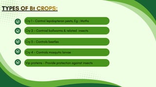 Cry 1 - Control lepidopteran pests, Eg : Moths
Cry 2 - Controsl bollworms & related insects
Cry 3 - Controls beetles
Cry 4 - Controls mosquito larvae
Vip proteins - Provide protection against insects
TYPES OF Bt CROPS:
TYPES OF Bt CROPS:
TYPES OF Bt CROPS:
 