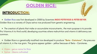 Golden Rice was first developed in 2000 by Scientists INGO POTRYKUS & PETER BEYER.
Golden Rice is a varoety of Oryza sativa rice produced from genetic engineering.
The creation of plants that make or accumulate micronutrients , the main purpose is to provide
Pro Vitamins A to third world, developing countries where malnutrition and vitamin A deficiency are
common.
Golden Rice is a genetically modified rice developed to produce “Beta - Catotene”, the precurso
of vitamin A, in the rice grain. The grains appear golden - yellow because of Beta - Carotenes.
Oryza - genus name for Rice
Sativa - Means cultivated
Oryza - genus name for Rice
Oryza - genus name for Rice
Sativa - Means cultivated
Sativa - Means cultivated
INTRODUCTION:
INTRODUCTION:
INTRODUCTION:
GOLDEN RICE:
 
