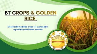 BT CROPS & GOLDEN
RICE
BT CROPS & GOLDEN
RICE
BT CROPS & GOLDEN
RICE
Genetically modified crops for sustainable
agriculture and better nutrition
 