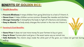 🩺Health Benefits:
Prevents Blindness: It stops children from going blind due to a lack of Vitamin A.
Saves Lives: It helps children survive common illnesses like measles and diarrhea.
Stronger Immunity: It strengthens the body to fight off infections and sickness.
Easy to Absorb: The body easily changes the nutrient in this rice into Vitamin A.
🌾Farming & Cost Benefits:
Same Price: It does not cost more money for poor farmers to buy or grow.
Easy to Grow: Farmers plant and grow it the exact same way as normal rice.
Safe Nutrients: The vitamin stays inside the white part of the grain, so it does not get lost during
milling.
BENEFITS OF GOLDEN RICE:
BENEFITS OF GOLDEN RICE:
BENEFITS OF GOLDEN RICE:
 