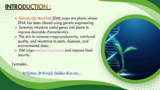 Genetically Modified (GM) crops are plants whose
DNA has been altered using genetic engineering.
Scientists introduce useful genes into plants to
improve desirable characteristics.
The aim to increase cropp productivity, nutritional
quality, and resistance to pests, diseases, and
environmental stress.
GM crops reduce crop losses and improve food
security.
Examples ,
Bt Cotton, Bt Brinjal, Golden Rice etc...
INTRODUCTION :
INTRODUCTION :
INTRODUCTION :
 