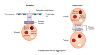 bleeding time, coagulation time and coagulation profile | PPTX