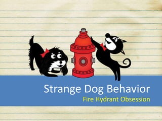Strange Dog Behavior
Fire Hydrant Obsession
 