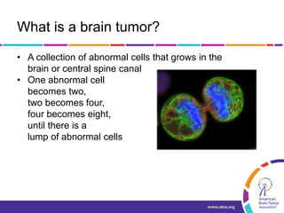 What is a brain tumor?
• A collection of abnormal cells that grows in the
brain or central spine canal
• One abnormal cell
becomes two,
two becomes four,
four becomes eight,
until there is a
lump of abnormal cells
 