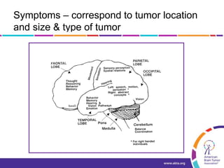 Symptoms – correspond to tumor location
and size & type of tumor
 