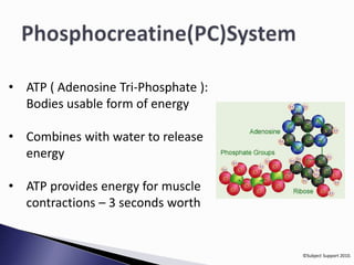 ©Subject Support 2010. 
• ATP ( Adenosine Tri-Phosphate ): 
Bodies usable form of energy 
• Combines with water to release 
energy 
• ATP provides energy for muscle 
contractions – 3 seconds worth 
 