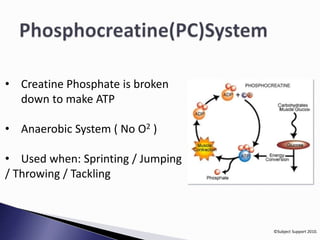 ©Subject Support 2010. 
• Creatine Phosphate is broken 
down to make ATP 
• Anaerobic System ( No O2 ) 
• Used when: Sprinting / Jumping 
/ Throwing / Tackling 
 