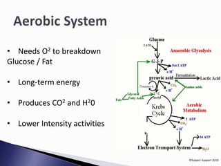 ©Subject Support 2010. 
• Needs O2 to breakdown 
Glucose / Fat 
• Long-term energy 
• Produces CO2 and H20 
• Lower Intensity activities 
 