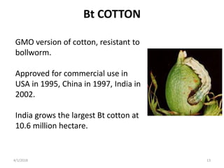Bt COTTON
GMO version of cotton, resistant to
bollworm.
Approved for commercial use in
USA in 1995, China in 1997, India in
2002.
India grows the largest Bt cotton at
10.6 million hectare.
4/1/2018 13
 
