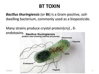 BT TOXIN
Bacillus thuringiensis (or Bt) is a Gram-positive, soil-
dwelling bacterium, commonly used as a biopesticide.
Many strains produce crystal protein(cry) , δ-
endotoxins.
4/1/2018 6
 