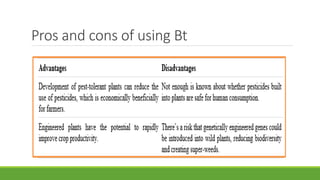 Pros and cons of using Bt
 
