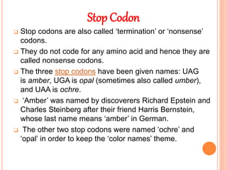 Genetic Code | PPTX