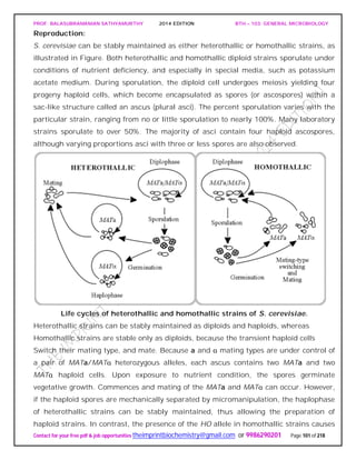 PROF. BALASUBRAMANIAN SATHYAMURTHY 2014 EDITION BTH – 103: GENERAL MICROBIOLOGY
Contact for your free pdf & job opportunities theimprintbiochemistry@gmail.com or 9986290201 Page 101 of 218
Reproduction:
S. cerevisiae can be stably maintained as either heterothallic or homothallic strains, as
illustrated in Figure. Both heterothallic and homothallic diploid strains sporulate under
conditions of nutrient deficiency, and especially in special media, such as potassium
acetate medium. During sporulation, the diploid cell undergoes meiosis yielding four
progeny haploid cells, which become encapsulated as spores (or ascospores) within a
sac-like structure called an ascus (plural asci). The percent sporulation varies with the
particular strain, ranging from no or little sporulation to nearly 100%. Many laboratory
strains sporulate to over 50%. The majority of asci contain four haploid ascospores,
although varying proportions asci with three or less spores are also observed.
Life cycles of heterothallic and homothallic strains of S. cerevisiae.
Heterothallic strains can be stably maintained as diploids and haploids, whereas
Homothallic strains are stable only as diploids, because the transient haploid cells
Switch their mating type, and mate. Because a and α mating types are under control of
a pair of MATa/MATα heterozygous alleles, each ascus contains two MATa and two
MATα haploid cells. Upon exposure to nutrient condition, the spores germinate
vegetative growth. Commences and mating of the MATa and MATα can occur. However,
if the haploid spores are mechanically separated by micromanipulation, the haplophase
of heterothallic strains can be stably maintained, thus allowing the preparation of
haploid strains. In contrast, the presence of the HO allele in homothallic strains causes
 