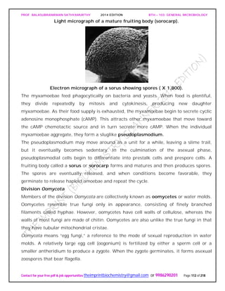 PROF. BALASUBRAMANIAN SATHYAMURTHY 2014 EDITION BTH – 103: GENERAL MICROBIOLOGY
Contact for your free pdf & job opportunities theimprintbiochemistry@gmail.com or 9986290201 Page 112 of 218
Light micrograph of a mature fruiting body (sorocarp).
Electron micrograph of a sorus showing spores ( X 1,800).
The myxamoebae feed phagocytically on bacteria and yeasts. When food is plentiful,
they divide repeatedly by mitosis and cytokinesis, producing new daughter
myxamoebae. As their food supply is exhausted, the myxamoebae begin to secrete cyclic
adenosine monophosphate (cAMP). This attracts other myxamoebae that move toward
the cAMP chemotactic source and in turn secrete more cAMP. When the individual
myxamoebae aggregate, they form a sluglike pseudoplasmodium.
The pseudoplasmodium may move around as a unit for a while, leaving a slime trail,
but it eventually becomes sedentary. In the culmination of the asexual phase,
pseudoplasmodial cells begin to differentiate into prestalk cells and prespore cells. A
fruiting body called a sorus or sorocarp forms and matures and then produces spores.
The spores are eventually released, and when conditions become favorable, they
germinate to release haploid amoebae and repeat the cycle.
Division Oomycota
Members of the division Oomycota are collectively known as oomycetes or water molds.
Oomycetes resemble true fungi only in appearance, consisting of finely branched
filaments called hyphae. However, oomycetes have cell walls of cellulose, whereas the
walls of most fungi are made of chitin. Oomycetes are also unlike the true fungi in that
they have tubular mitochondrial cristae.
Oomycota means “egg fungi,” a reference to the mode of sexual reproduction in water
molds. A relatively large egg cell (oogonium) is fertilized by either a sperm cell or a
smaller antheridium to produce a zygote. When the zygote germinates, it forms asexual
zoospores that bear flagella.
 